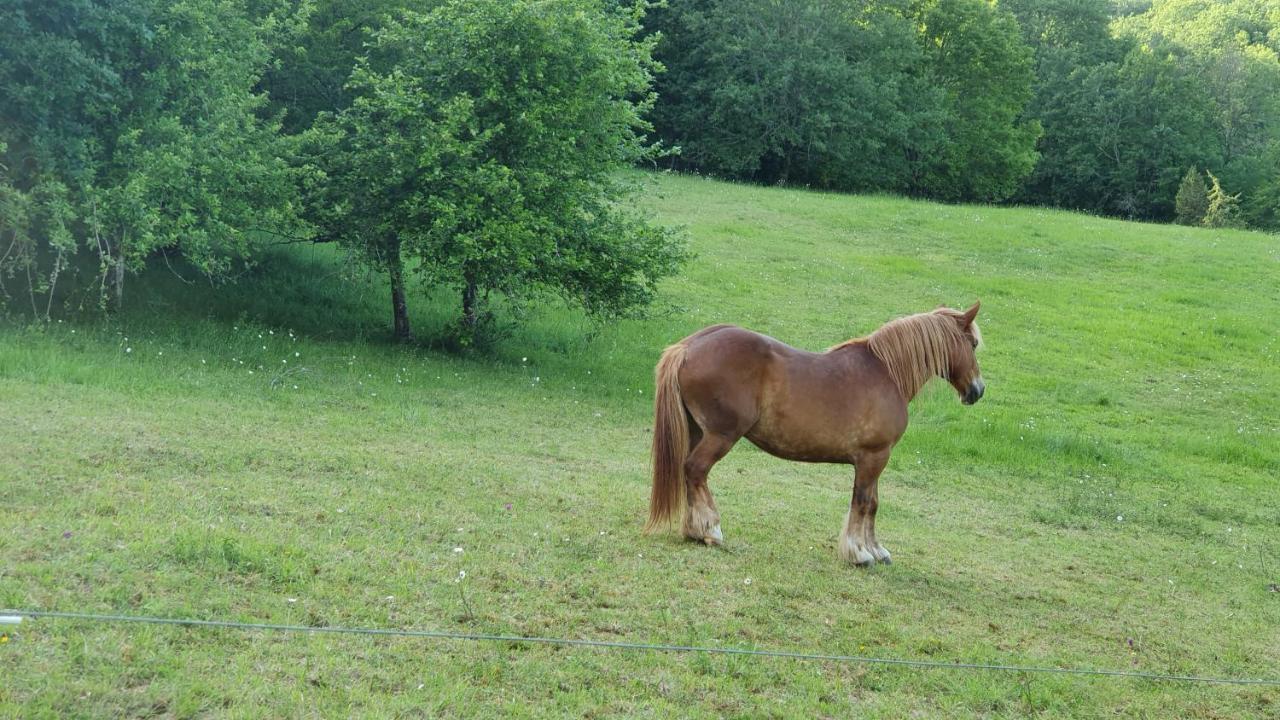 ホテル Domaine Du Cardou Puy-lʼÉvêque エクステリア 写真