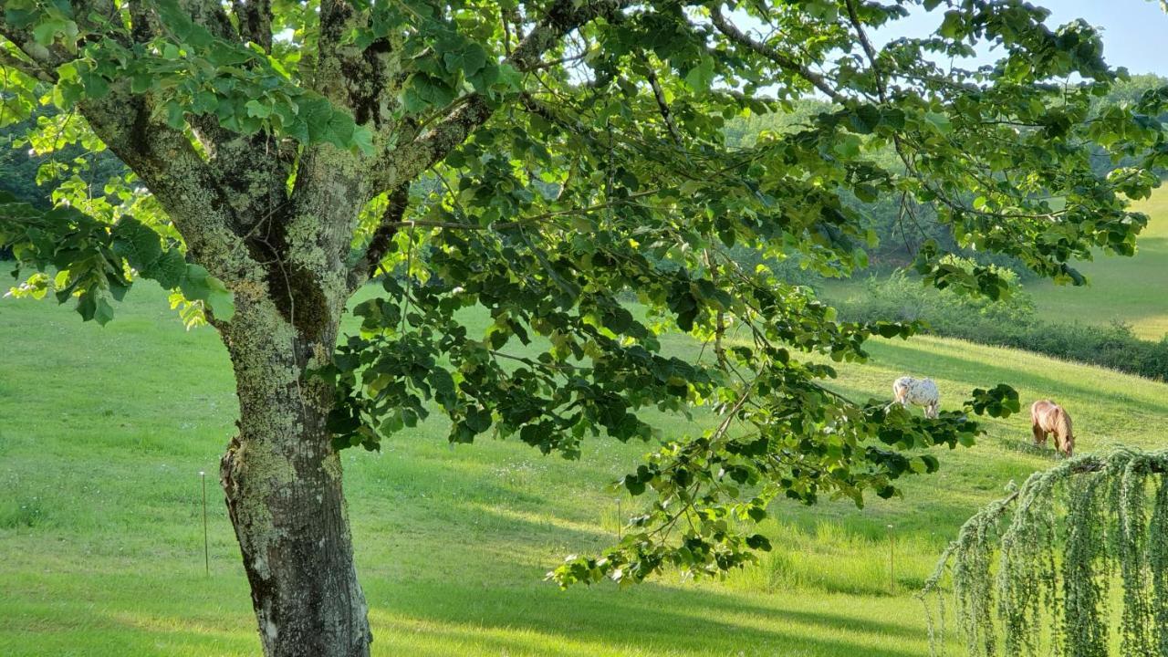 ホテル Domaine Du Cardou Puy-lʼÉvêque エクステリア 写真