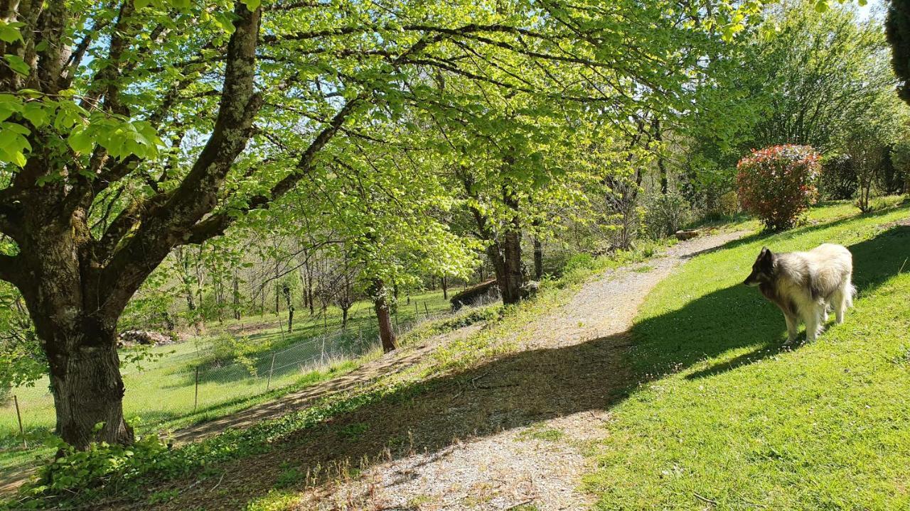 ホテル Domaine Du Cardou Puy-lʼÉvêque エクステリア 写真